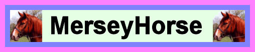 MerseyHorse
